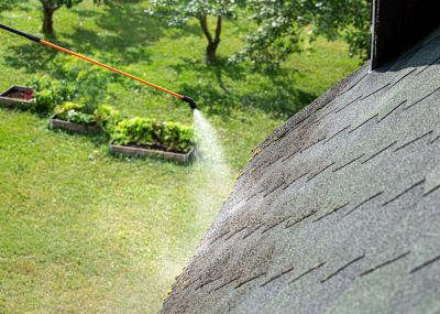 Commercial Roof Moss Removal