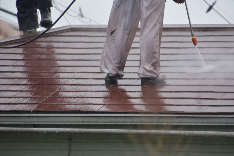 Roof Fungus Removal detail