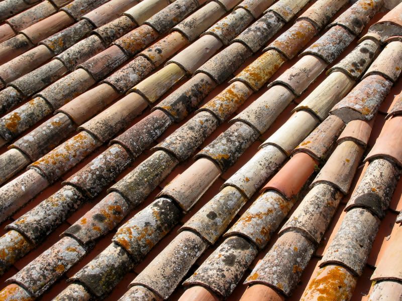 Roof Mildew Removal detail