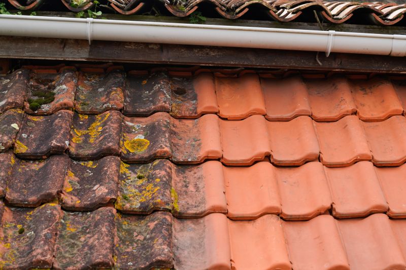 Tile Roof Cleaning detail