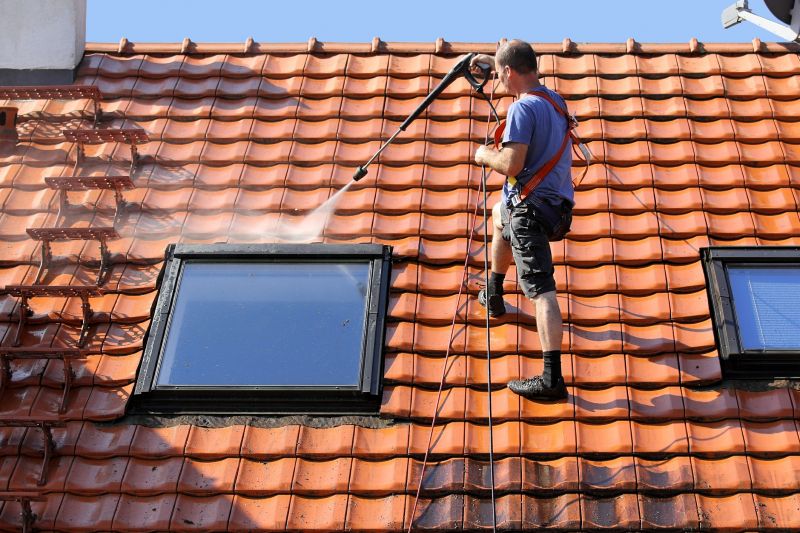 Tile Roof Cleaning detail