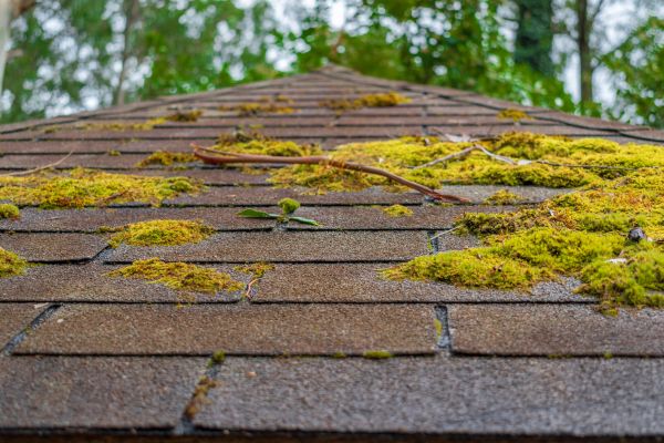 Cabin Roof Power Cleaning